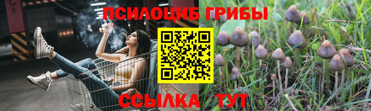 Галлюциногенные грибы мухоморы Сердобск
